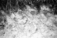 orwo-pf2-sommer-2013-04-jpg