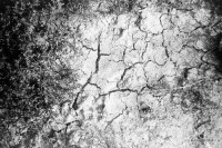 orwo-pf2-sommer-2013-15-jpg