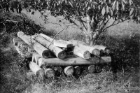 orwo-pf2-sommer-2013-17-jpg