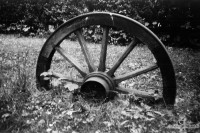 orwo-pf2-sommer-2013-19-jpg
