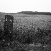 orwo-pf2-sommer-2013-02-jpg