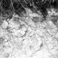 orwo-pf2-sommer-2013-04-jpg