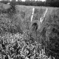 orwo-pf2-sommer-2013-06-jpg