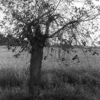 orwo-pf2-sommer-2013-07-jpg