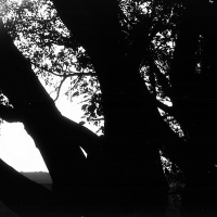 orwo-pf2-sommer-2013-09-jpg