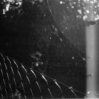 orwo-pf2-sommer-2013-12-jpg