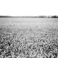 orwo-pf2-sommer-2013-13-jpg