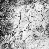 orwo-pf2-sommer-2013-15-jpg