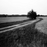 orwo-pf2-sommer-2013-16-jpg