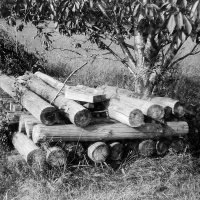 orwo-pf2-sommer-2013-17-jpg