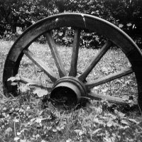 orwo-pf2-sommer-2013-19-jpg