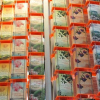 buchmesse-2013-017