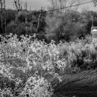 Gruna-im-Dezember-2016-3