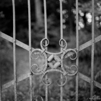 kirchruine-dambeck-2013-003-jpg