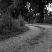 kirchruine-dambeck-2013-009-jpg