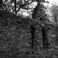 kirchruine-dambeck-2013-011-jpg