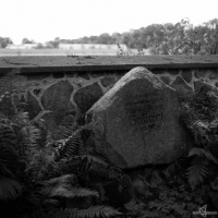 kirchruine-dambeck-2013-012-jpg