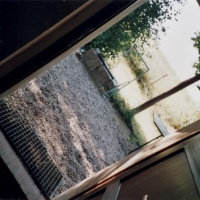 lomo-gruna-2014-05