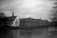 grimma-7