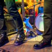 Rock-Lesung-David-Bowie-Flowerpower-007