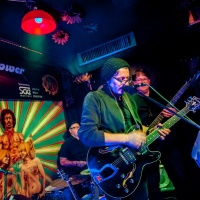 Rock-Lesung-David-Bowie-Flowerpower-055