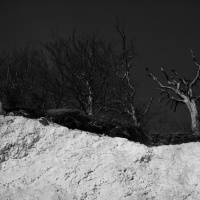 steilkueste-sassnitz-002