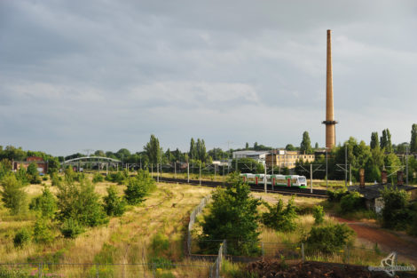 Leipzig an der Brachfläche Güterbahnhof Kleinzschocher.
